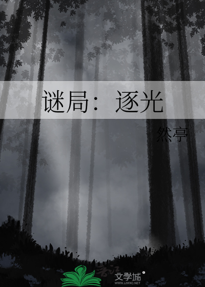 谜局：逐光