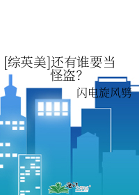 [综英美]还有谁要当怪盗？